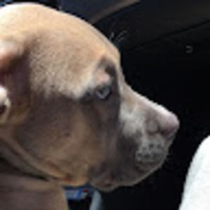 Meet your Posher, Alaric